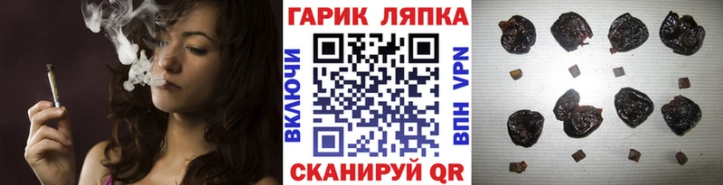 ГАШ гарик  Купить где  Щигры 