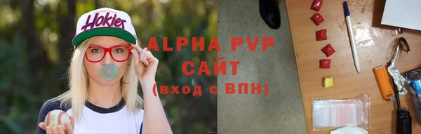 эйфоретик Богданович