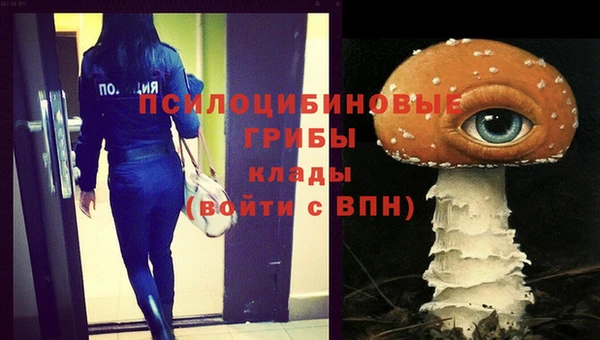 первитин Богородск