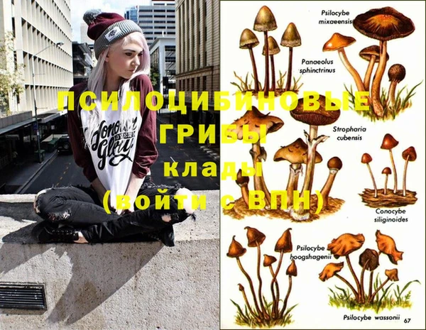 a pvp Бугульма