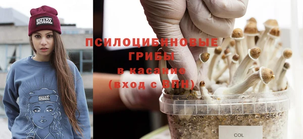a pvp Бугульма