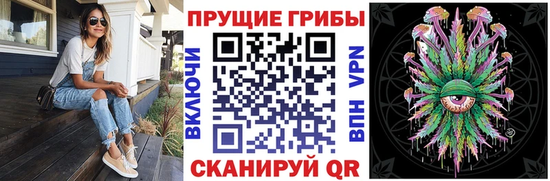 Купить Щигры Галлюциногенные грибы мухоморы